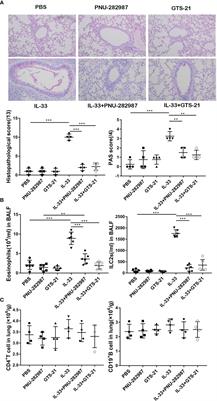A Selective α7 Nicotinic Acetylcholine Receptor Agonist, PNU-282987, Attenuates ILC2s Activation and Alternaria-Induced Airway Inflammation